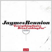Jaymes Reunion - Everything You've Been Looking For