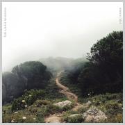 The Dodds Find Freedom And Rest In 'The Light Sessions'
