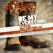 Soul Survivor - Be My Everything : The Best of Survivor Live 2005 - 2009