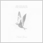 Natalie Grant - His Eye Is On The Sparrow