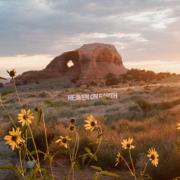 Eauclaire Find 'Heaven On Earth' With Evocative New Single