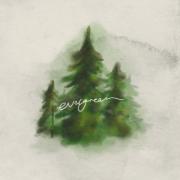Evergreen