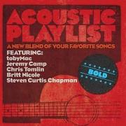 Various Artists - Acoustic Playlist