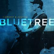 Free Song Download From Bluetree