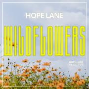 Hope Lane - Wildflowers
