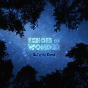 LTTM Awards 2015 - No. 4: Salt Of The Sound - Echoes Of Wonder