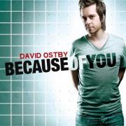 David Ostby - Because of You