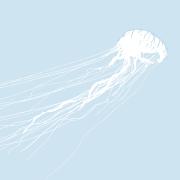 Tina Boonstra Returns With New Single 'Find You'