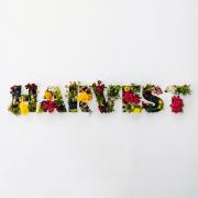 Harvest