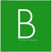 Second Instrumental Album 'B' From The Neon Ambience