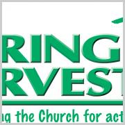 Spring Harvest Band Blog