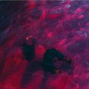 Josh Gauton Releases New Album 'O, Peace'