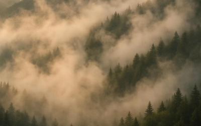 Colton Harris - From The Ashes There's Hope