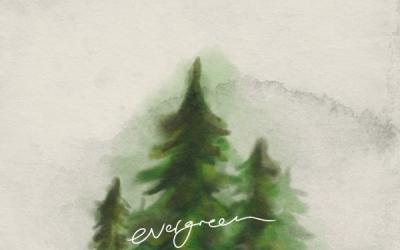 Rend Collective - Evergreen