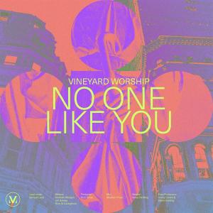 No One Like You