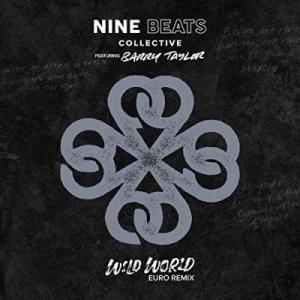 Wild World (Euro Remix)