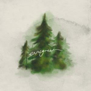 Evergreen