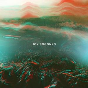 Joy Bogonko