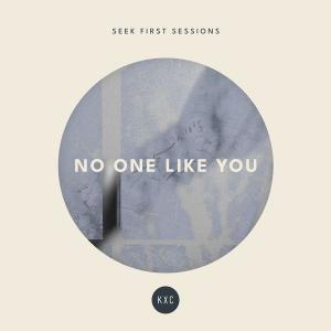 No One Like You