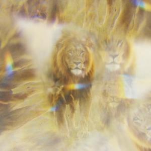 Jesus Song Jesus Song