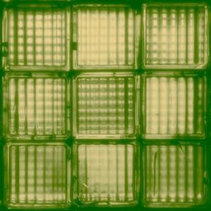 First Light / Last Word First Light / Last Word