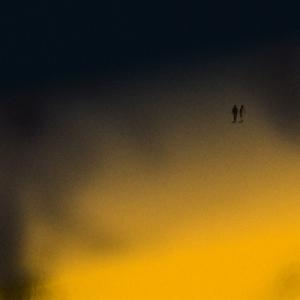 Every Night // Every Day Every Night // Every Day