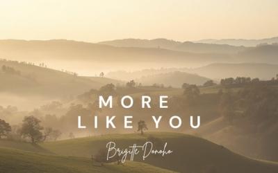 Brigitte Donoho Releases Reflective Christian Folk Song 'More Like You' Brigitte Donoho Releases Reflective Christian Folk Song 'More Like You'