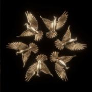 Free Indeed Free Indeed