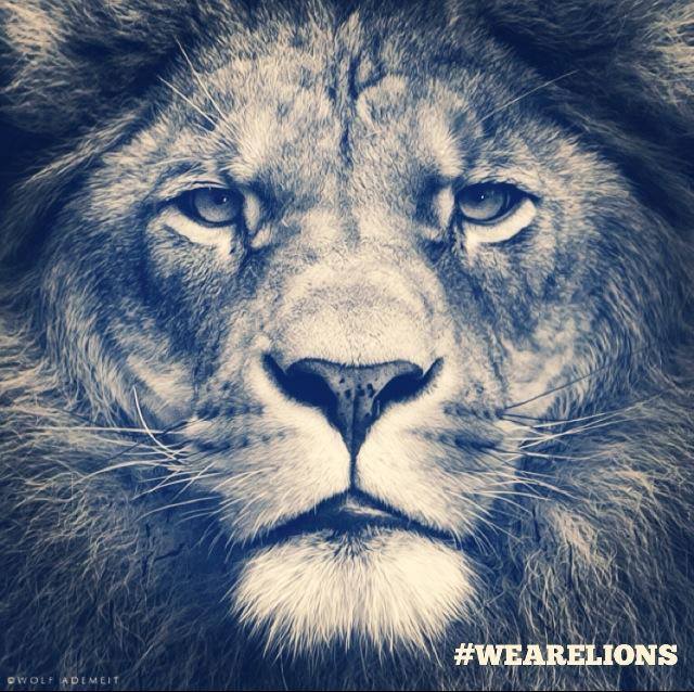 We Are Lions - Light A Fire