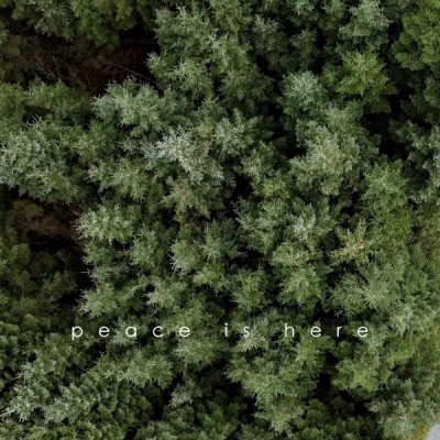 Hope Sounds - Peace Is Here