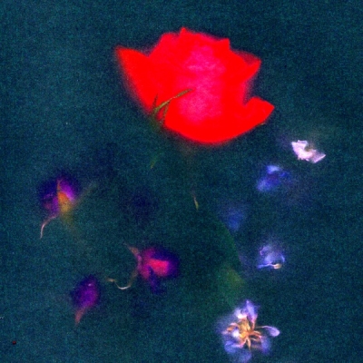 Benjamin William Hastings - Hollow Grave