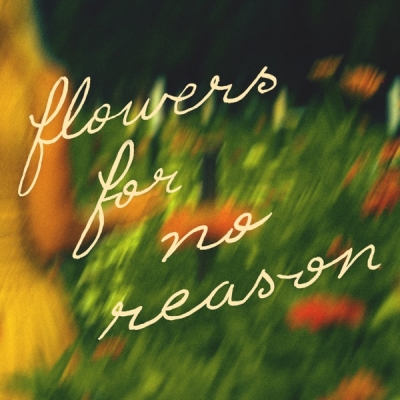 Ellie Holcomb - Flowers For No Reason